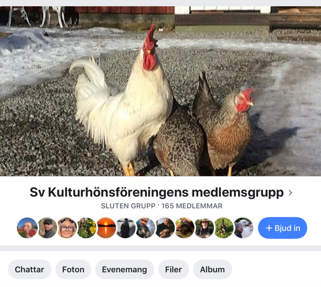 Facebook